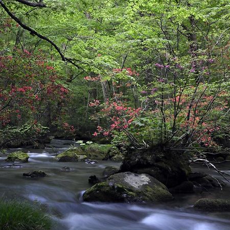 Oirase Guest House Keigetsu Towada Esterno foto